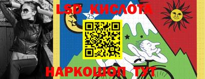 дмт Краснодар